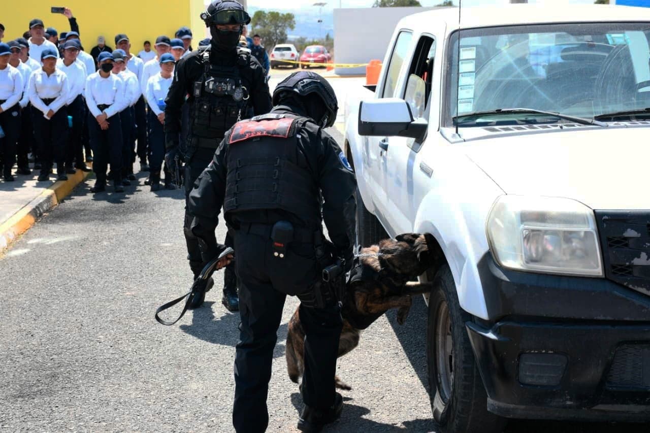 Binomio canino realiza una inspección vehicular frente a estudiantes